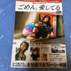 ごめん、愛してる : 韓国ドラマ公式ガイドのサムネイル