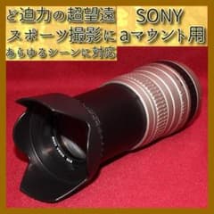 ❤️ど迫力の超望遠レンズ❤️シグマ 100-300mm ソニー aマウント用 
