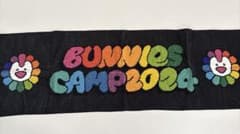 NewJeans BUNNIES CAMP 2024 タオルのサムネイル