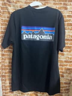 《Arfixco Bagas様》パタゴニア  半袖　Tシャツのサムネイル