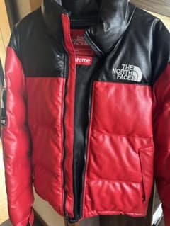 SUPREME x THE NORTH FACE  ダウンのサムネイル