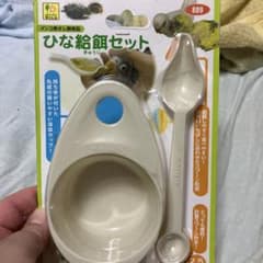 ひな　給餌のサムネイル