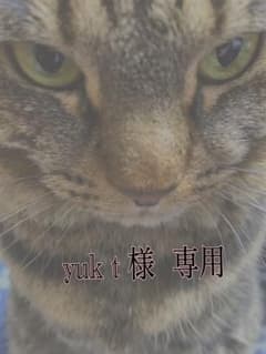 ☆yuk t 様 専用ページ☆のサムネイル