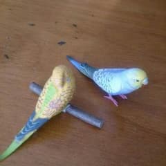 小鳥の置物のサムネイル