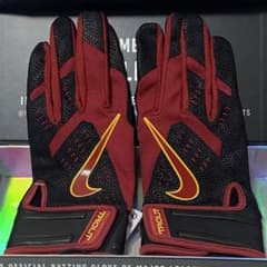 新品 NIKEトラウトエリート バッティンググローブ ブラック XSサイズ 限定 NIKE - 新品 NIKEトラウトエリート バッティンググローブ
