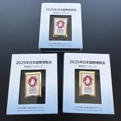 大阪万博　EXPO2025 アメリカ　ピンバッジ　非売品 非売品 USA アメリカ 大阪関西万博 EXPO2025 OSAKA ピンバッジ