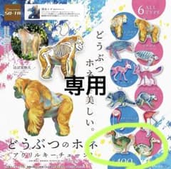 清水イズ　どうぶつのホネ　ドードー　専用のサムネイル