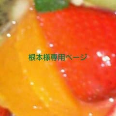 蝶のピアス+ネックレス☆のサムネイル