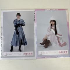 的野美青 櫻坂46 生写真まとめ売り - メルカリ