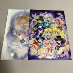 Pretty Guardian Sailor Moon Exhibition Clear File: Serenity - Ten Warriors
