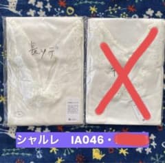 【新品・未使用】シャルレニューインナー(長袖)IA046のサムネイル