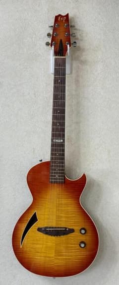 ESP Eclipse SA / セミアコ /極美品 / 希少モデル - メルカリ