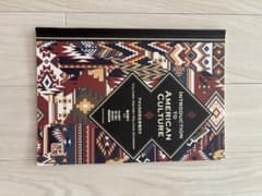 INTRODUCTION TO AMERICAN CULTUREのサムネイル