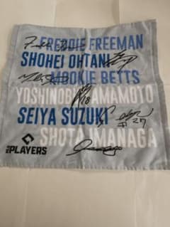 MLB PLAYERS ハンドタオル③