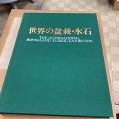 世界の盆栽　水石のサムネイル