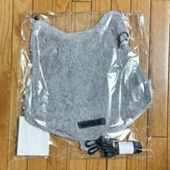 &TEAM BLAZE THE WAYツアーグッズ　うちわケース　カバー　バッグ m82379778930_1.jpg?1777422650