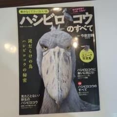 ハシビロコウのすべてのサムネイル