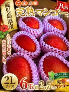 鹿児島県産 ご家庭用　完熟マンゴー2L 6玉　d 鹿児島県産 ご家庭用 完熟マンゴー2L 6玉 d - メルカリ