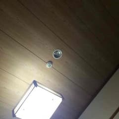 しん様専用のサムネイル