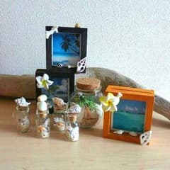 y様確認用のサムネイル