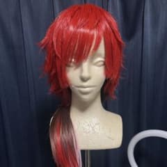にじさんじ ローレン・イロアス コスプレウィッグ セット済み - メルカリ