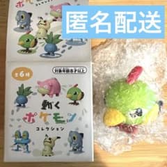 굉장히 포켓몬 네이티