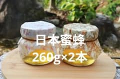 ニホンミツバチ　お買い得　おすすめ　260g×2本　贈り物　プレゼントのサムネイル