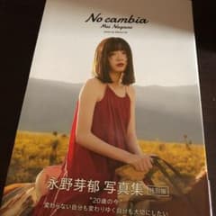 No cambia 永野芽郁 特別版のサムネイル