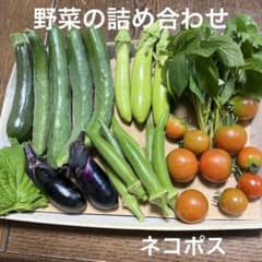 野菜の詰め合わせのサムネイル