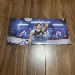 Stray Kids チャンビン　チケットファイルのサムネイル