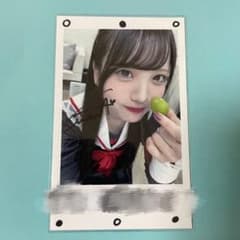 m82420880491_1.jpg?1730075521