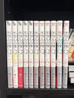 ホタルの嫁入り 1巻～11巻セット 橘オレコ 少女漫画 - メルカリ ホタルの嫁入り 1巻～11巻セット 橘オレコ 少女漫画