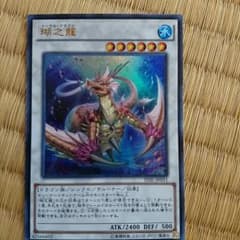 コーラルドラゴンのサムネイル