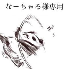 なーちゃる様専用のサムネイル