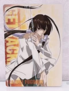 ゲットバッカーズ GetBackers 風鳥院花月 下敷き アニメイト