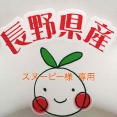 スヌーピー様専用特価 サラダにベビーリーフ 500gのサムネイル
