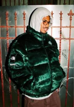 The North Face × Supreme ダウンジャケットのサムネイル