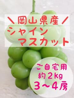 岡山県産 ご自宅用 訳あり シャインマスカット 3〜4房 約2kgのサムネイル