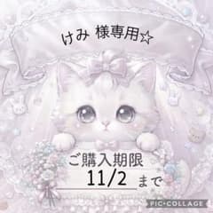 けみ様専用♡のサムネイル
