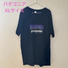 パダゴニア　Tシャツ　XLのサムネイル