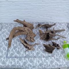 流木5個セット⑦　流木アート　爬虫類　アクアリウム　工作　アート　オブジェのサムネイル