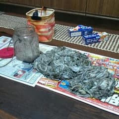 シガヤーダコのサムネイル