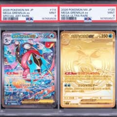 PSA9 メガゲッコウガex SAR MUR 2枚セット　①