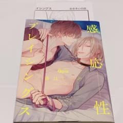感応性プレイシングスのサムネイル
