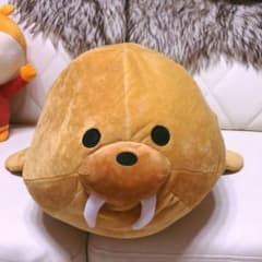 くったりサメさん セイウチ クッションのサムネイル