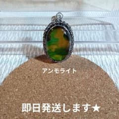 【極美品】アンモライト ジェムストーンシルバー925 ペンダントトップ N120 アンモライト ジェムストーン シルバー925 ペンダント トップ N120