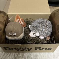 本日限定価格！Doggy Box おもちゃのサムネイル