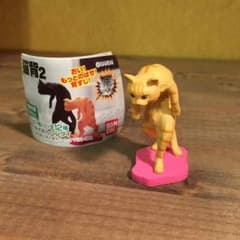 猫背2  茶トラ 親のサムネイル