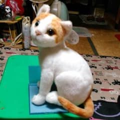 ネコぬいぐるみ❗のサムネイル