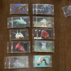 マキ様専用 生物図鑑深海魚10枚セットのサムネイル
